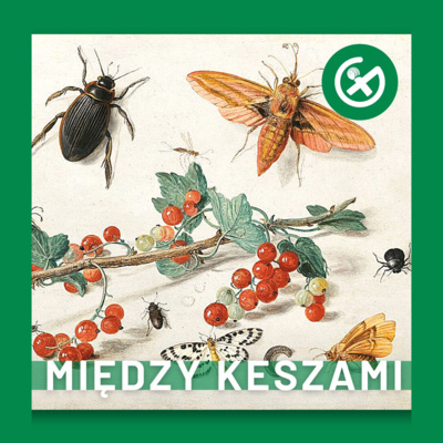 Między Keszami