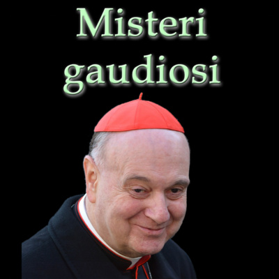 Cardinale Angelo Comastri