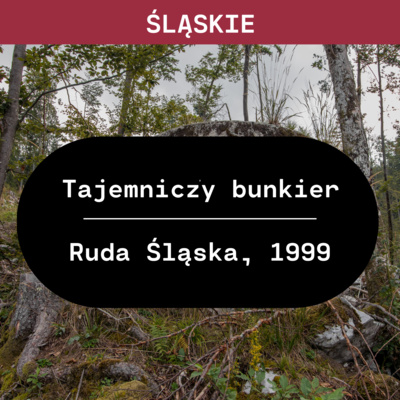 Szkic Kryminalny