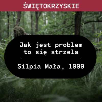 Szkic Kryminalny