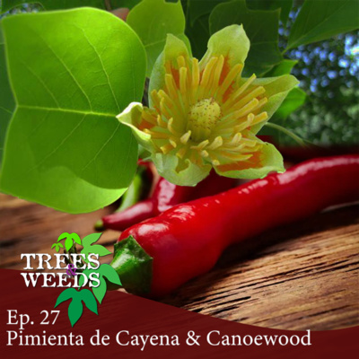 Ep. 27 - Pimienta de Cayena & Canoewood Ep. 27 - Pimienta de Cayena & Canoewood