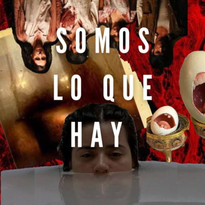 .1 Somos lo que hay (2010)