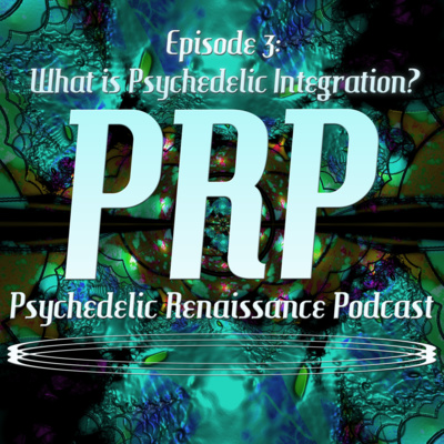 S1E3 What Is Psychedelic Integration?