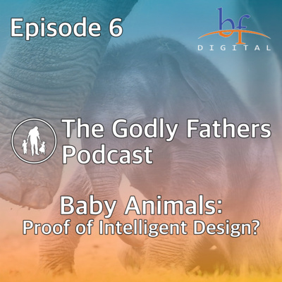 006 - Baby Animals: Proof of Intelligent Design? 006 - Baby Animals: Proof of Intelligent Design?