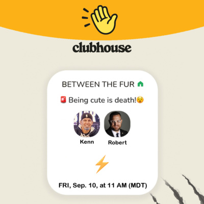 😵 Being Cute is Death