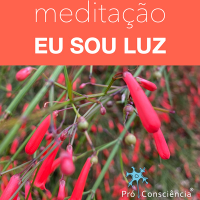 Meditação EU SOU LUZ