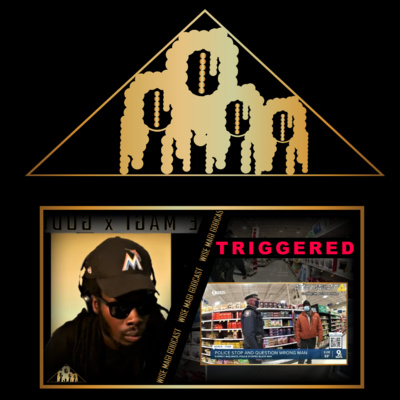 BLK Man triggered 🗣 by Racist West Chester Police BLK Man triggered 🗣 by Racist West Chester Police