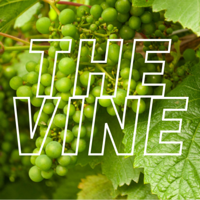 "The Vine"  episode artwork