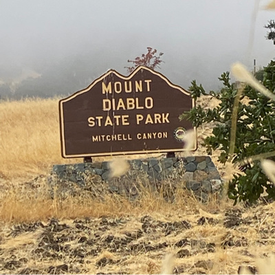 Dulcinea Love Podcast