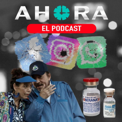 Portada de Artículo 66