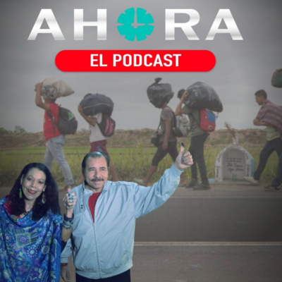 Portada de Artículo 66