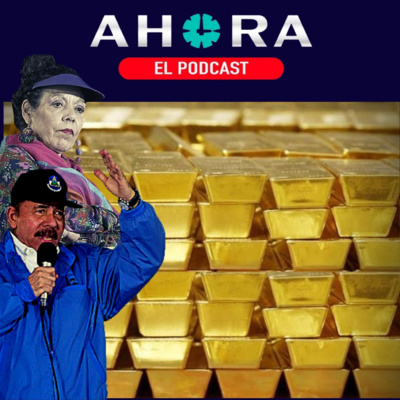 Portada de Artículo 66