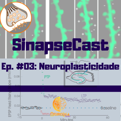 SinapseCast #03: Neuroplasticidade