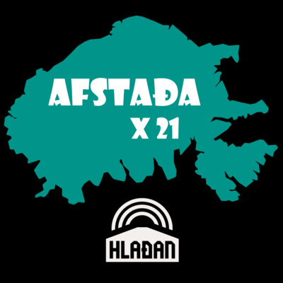 Afstaða x21 - Píratar: Magnús Norðdahl