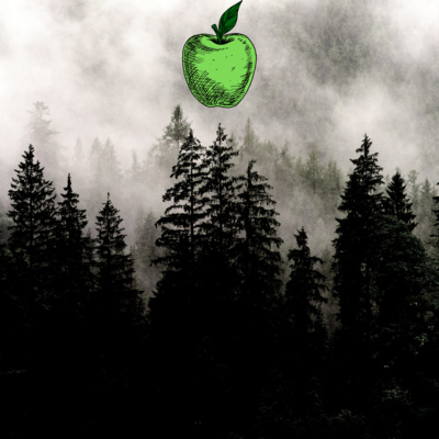 No Echo Chambers Teaser