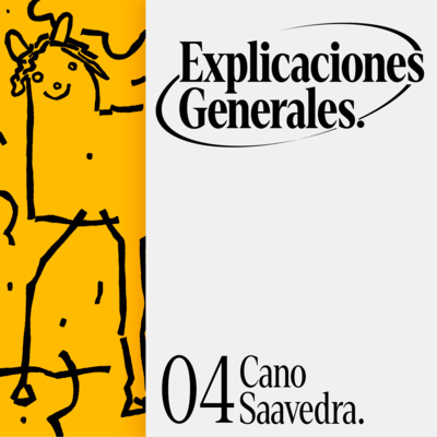 Explicaciones Generales