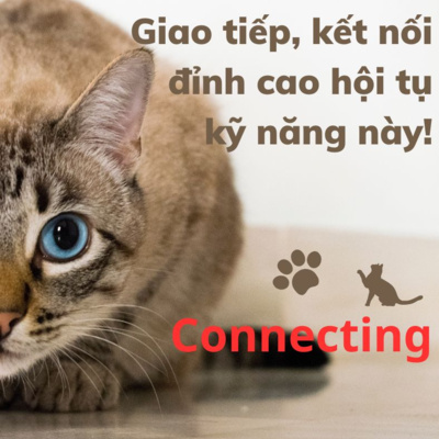 Giao tiếp đỉnh cao với Khoảng Trống Tĩnh Lặng? episode artwork