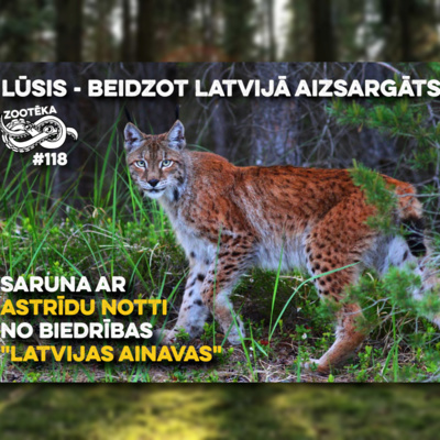 #118 Lūsis - beidzot Latvijā aizsargāts. Pilna saruna ar Astrīdu Notti, "Latvijas ainavas" episode artwork