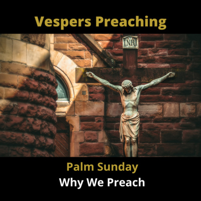 Br. Andrew Martin del Valle, OP | Why we Preach