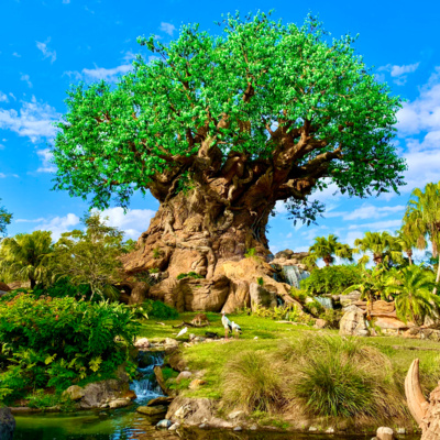 Skyliner Views #32: Animal Kingdom: Refurb vs. Retheme episode artwork