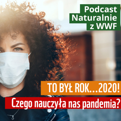 To był rok…2020!