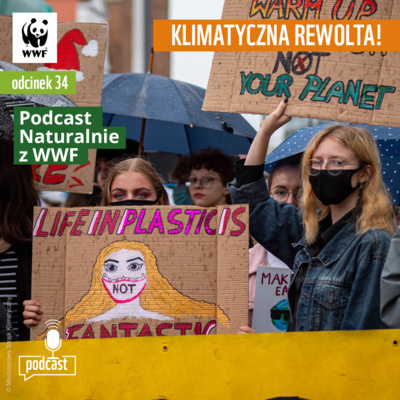 Młodzi kontra „poważni panowie”