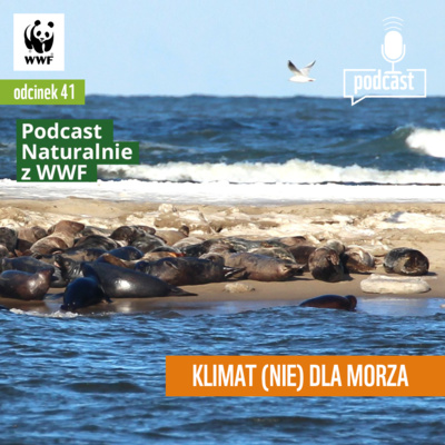 Klimat (nie) dla morza