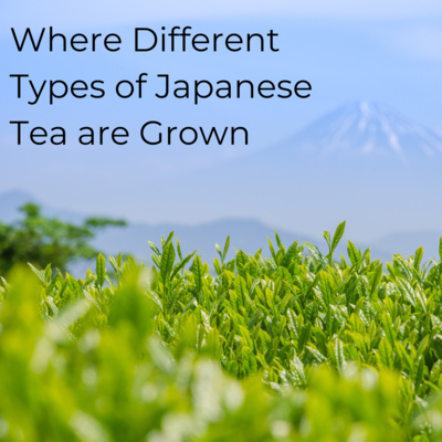 Japanese Green Tea Podcast