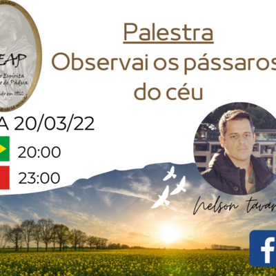 Palestra - Observai os pássaros do céu episode artwork
