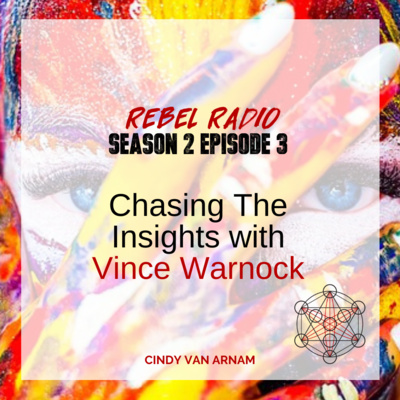 Chasing The Insights with Vince Warnock