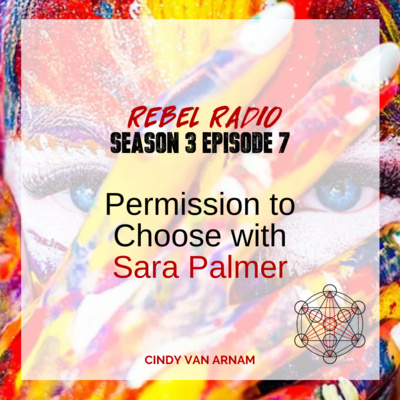 Permission to Choose with Sara Palmer