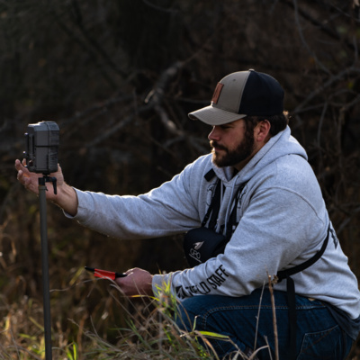 Why You Should Pressure Your Deer