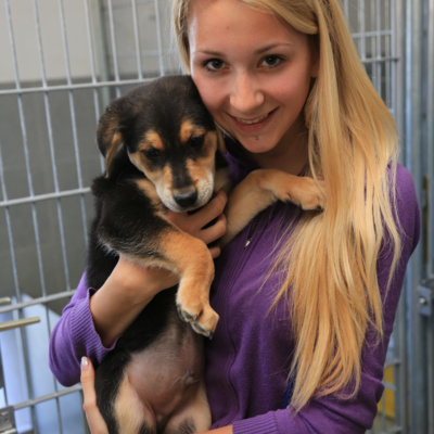 "Včasih smo pse reševali iz zavetišč."