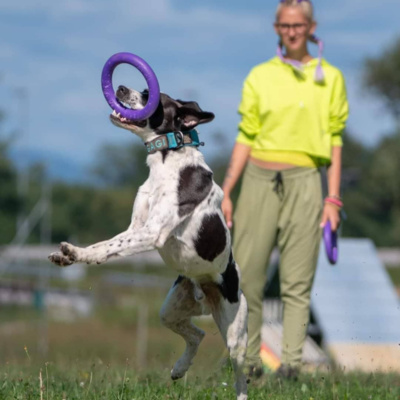 "Bo naskakovanje noge kinološka prihodnost?"