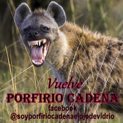 Vuelve Porfirio Cadena el Ojo de Vidrio