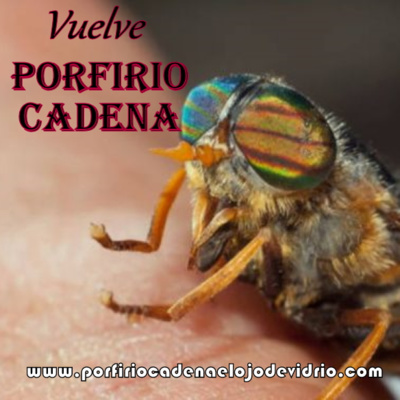 Vuelve Porfirio Cadena el Ojo de Vidrio