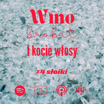 SŁOIKI czyli Domi vs. Ania | Podcast #4