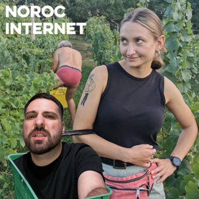 Noroc Internet