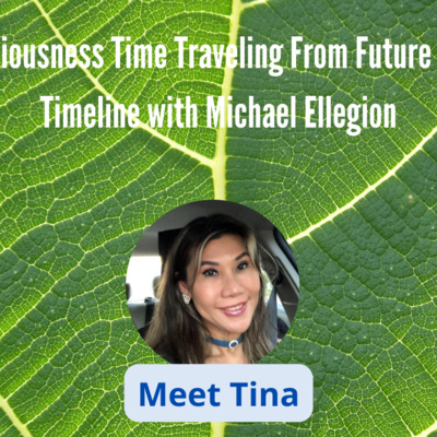 #24 Consciousness Time Traveling From Future Self / Timeline with Michael Ellegion 