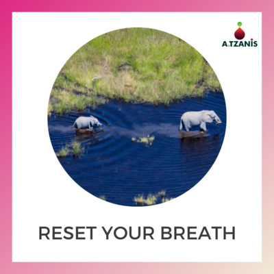 Breathwork with Anastasis