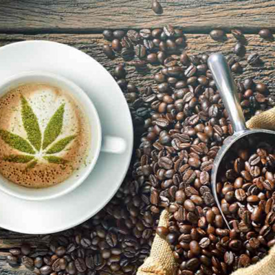 Major Health Benefits Of Having CBD Coffee Online