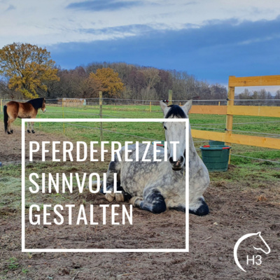 Kompetenz-Zirkel Pferd