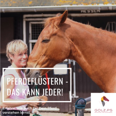 Kompetenz-Zirkel Pferd