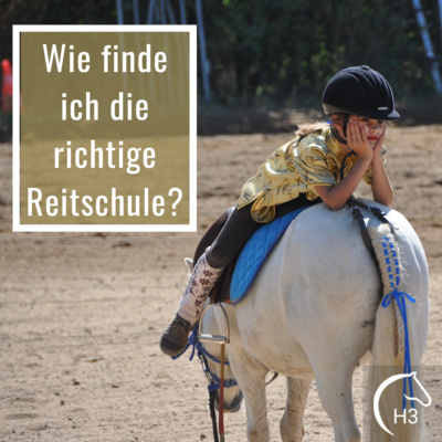 Kompetenz-Zirkel Pferd