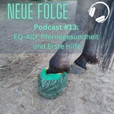 Kompetenz-Zirkel Pferd