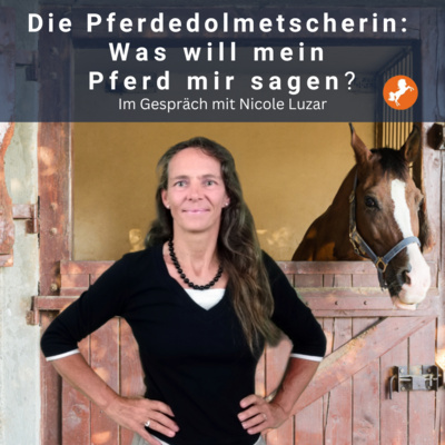Kompetenz-Zirkel Pferd