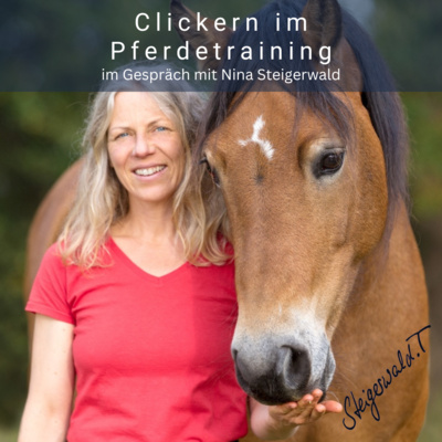 Kompetenz-Zirkel Pferd