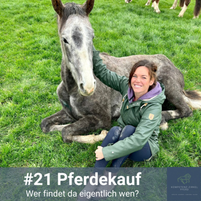 Kompetenz-Zirkel Pferd