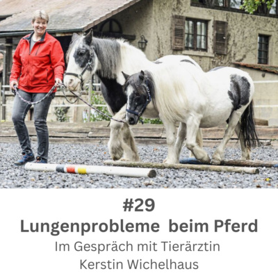 Kompetenz-Zirkel Pferd