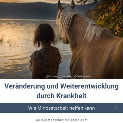 Kompetenz-Zirkel Pferd